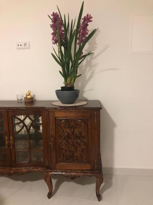 Appartement Casa Bossa Nova à Fundão Extérieur photo